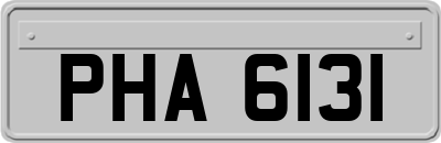 PHA6131