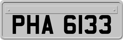 PHA6133