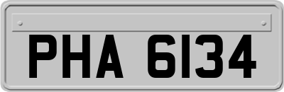 PHA6134