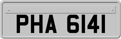 PHA6141