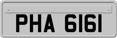 PHA6161