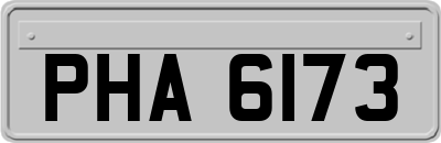 PHA6173