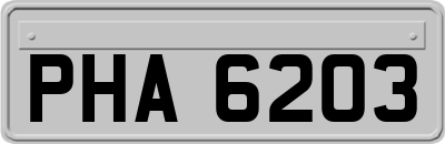 PHA6203