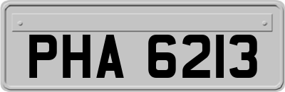 PHA6213