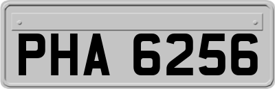 PHA6256