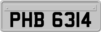 PHB6314