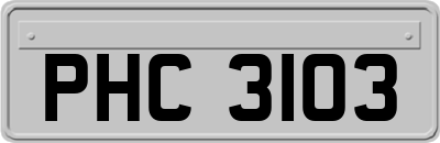 PHC3103