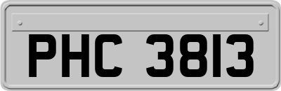 PHC3813