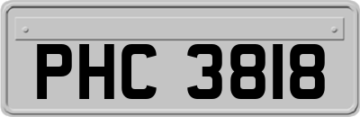 PHC3818