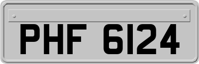 PHF6124
