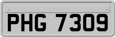 PHG7309