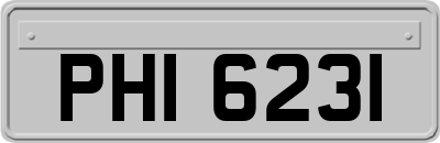 PHI6231