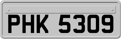 PHK5309