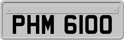 PHM6100