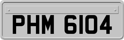 PHM6104