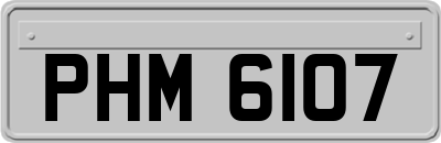 PHM6107