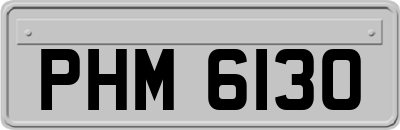 PHM6130