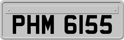 PHM6155