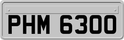 PHM6300