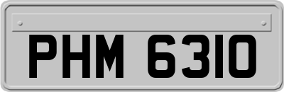 PHM6310