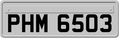 PHM6503