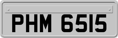 PHM6515