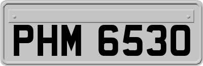 PHM6530