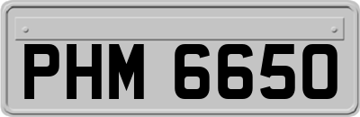 PHM6650