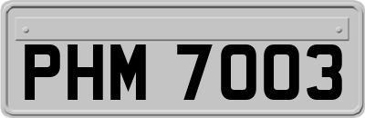 PHM7003