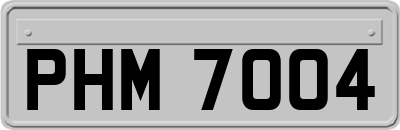 PHM7004