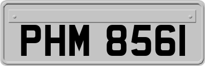 PHM8561