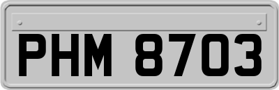 PHM8703