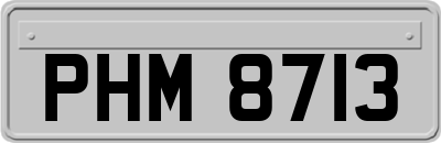 PHM8713