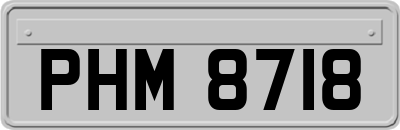 PHM8718