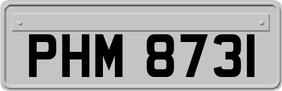 PHM8731