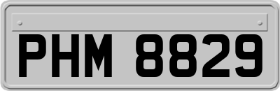 PHM8829