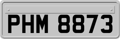 PHM8873