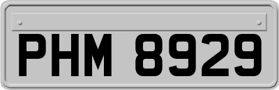 PHM8929