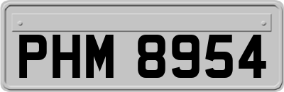 PHM8954