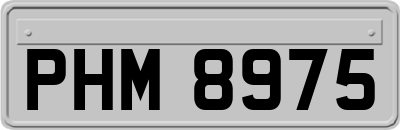 PHM8975