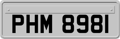 PHM8981