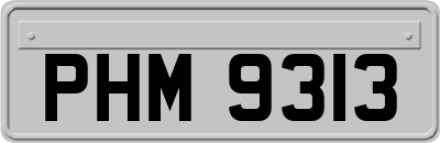 PHM9313