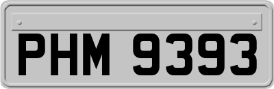 PHM9393