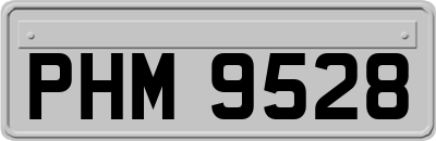 PHM9528