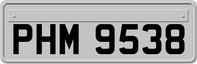 PHM9538