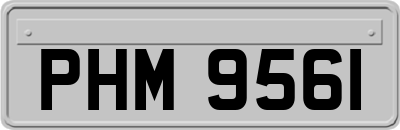 PHM9561