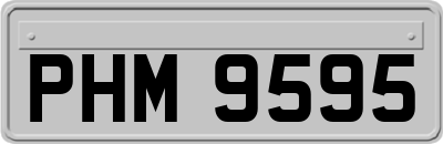 PHM9595