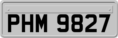 PHM9827