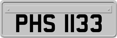 PHS1133