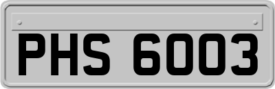 PHS6003